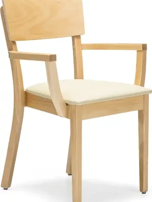 Top Prodej Seniorská židle Enrico XXL, čalouněný sedák, zvýšený sed 55 cm
