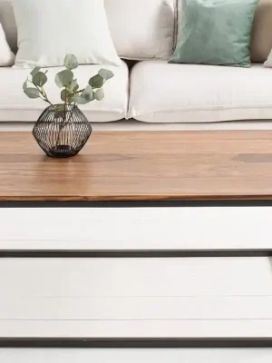 Horká Nabídka Luxusní konferenční stolek z masivu Elements Sheesham 100cm