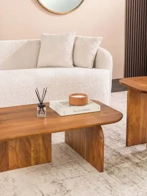 Cenová Bomba Set konferenčních stolků Artefakt organická akácie