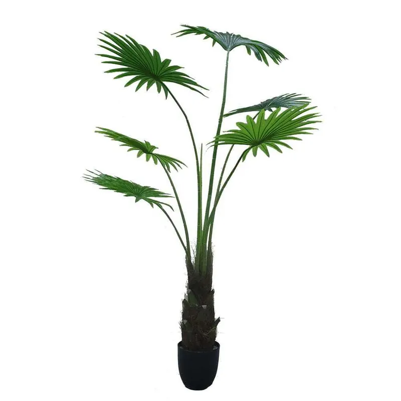 Umělý dekorativní strom - WASHINGTONIA
ROBUSTA GD4292 Akční Cena