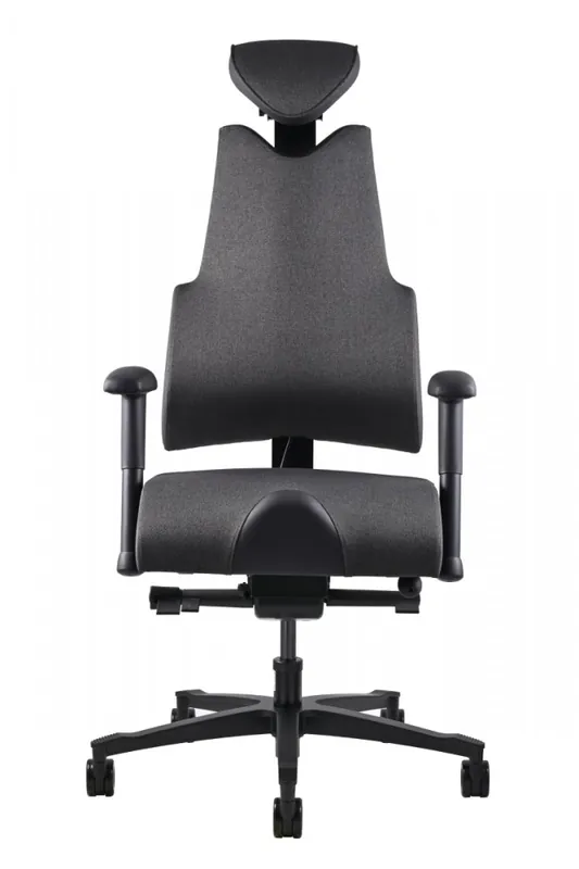 Akce Zdravotní židle THERAPIA BODY+ LR V (195 - 205 cm) – na míru, více barev - Materiál HX/KX COAL