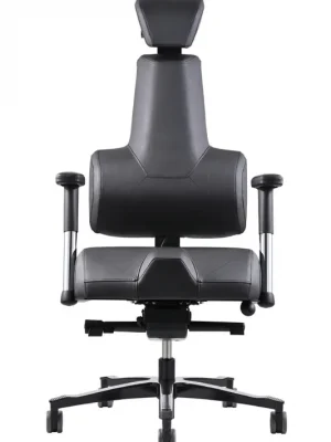 Výprodej Zdravotní židle THERAPIA ENERGY+ 2XL (180 - 200 cm) – na míru, více barev - Therapia Energy+ RX50 BLACK
